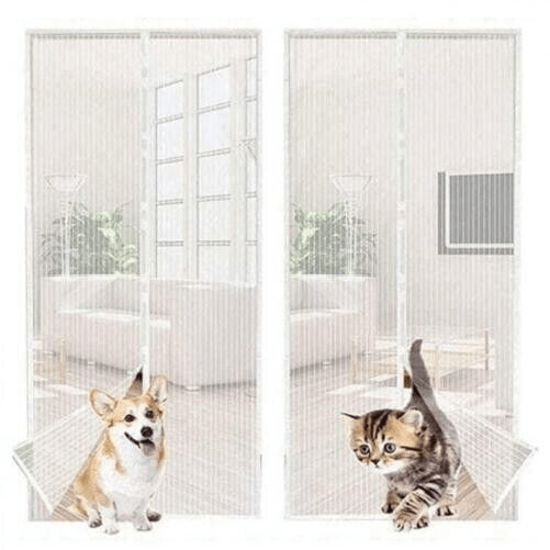 img-636b56d3-03f2-4b53-bffe-979c0f146812.png