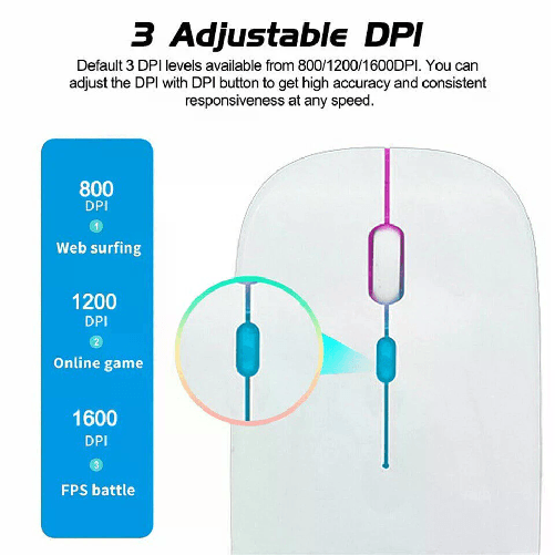 img-292d89ad-7c9e-4f96-b0d8-1dea76eab01b.png