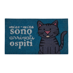BIANCHERIAWEB Zerbino Entrata Ingresso Casa Esterno Antiscivolo In Cocco Fortuna Dis. Gatto