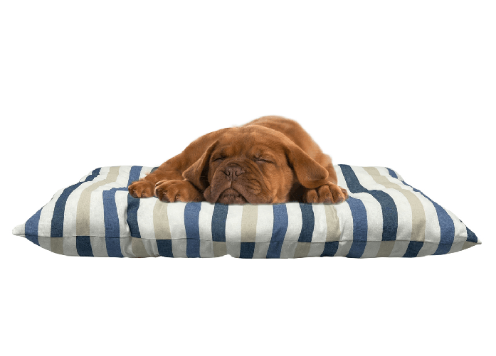 img-c977a25d-2742-48aa-9286-dbe96bfe1145.png