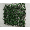 img-c0da097e-ebbd-472e-9f50-a8242dde0edb.png