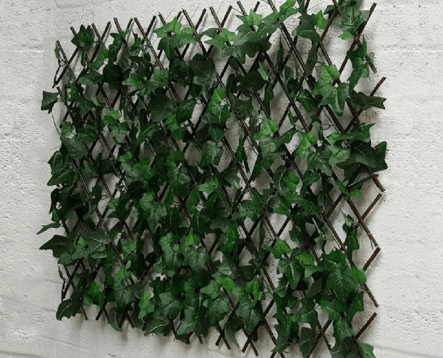 img-c0da097e-ebbd-472e-9f50-a8242dde0edb.png