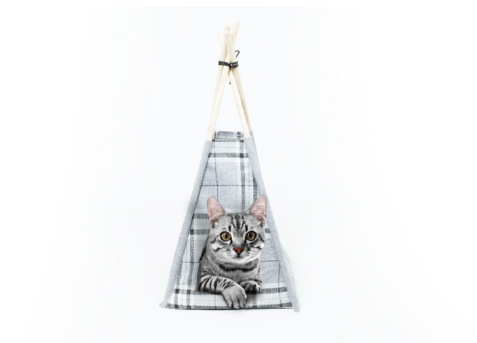 img-b595d671-33f3-4dc4-8f16-037c76b48b33.png