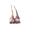 img-9082b3d2-e90d-4af9-85be-ec6f047abf13.png