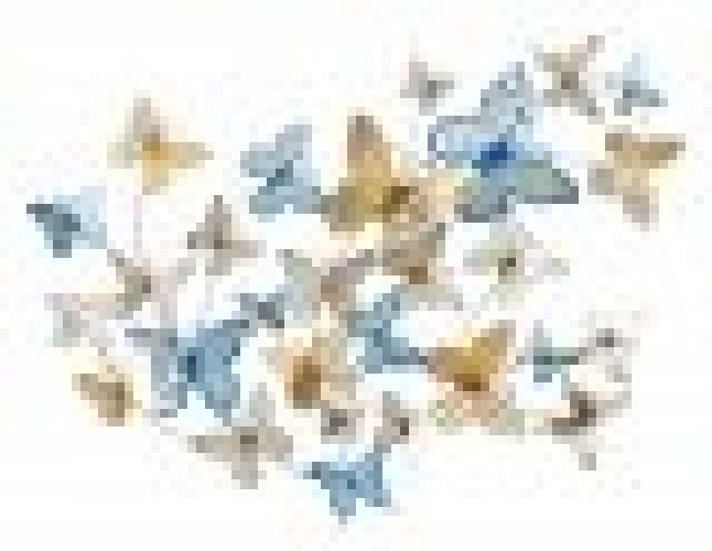 img-f01b5bd1-c324-4519-bb44-02fbca8b3811.png