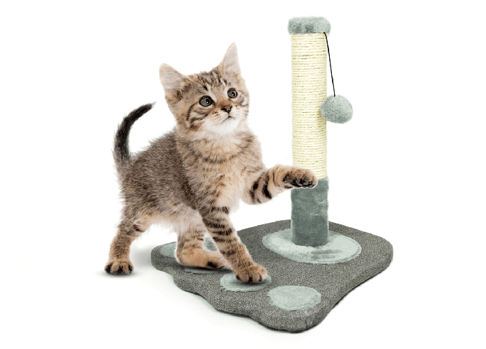img-fe9a8a4f-5805-4c2e-a07a-7d829881f219.png