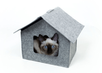 img-5f8a053e-24ad-46a5-9d36-cee6f4f66069.png