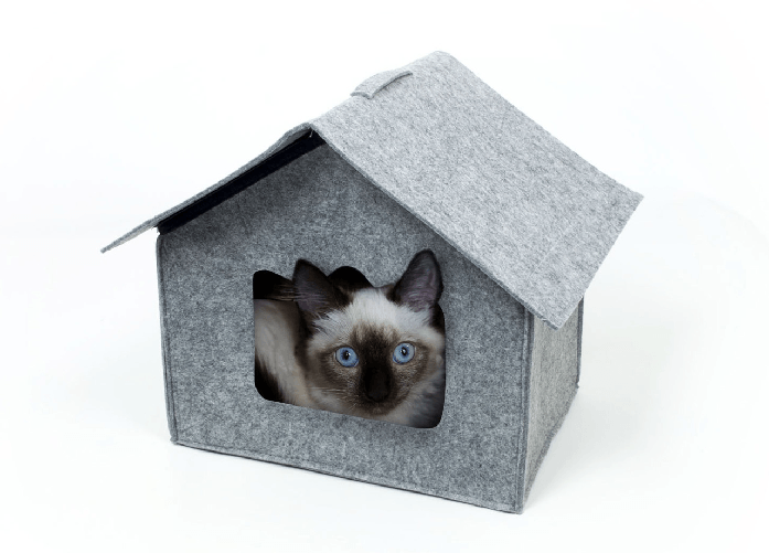 img-5f8a053e-24ad-46a5-9d36-cee6f4f66069.png