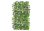 img-4db48cfe-4c3b-4abf-a1cf-42a8dfde67b9.png