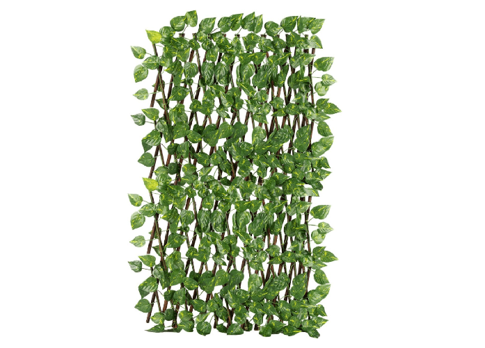 img-4db48cfe-4c3b-4abf-a1cf-42a8dfde67b9.png