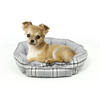 img-e906e78b-2eee-40e9-b43a-df253c6ef93c.png