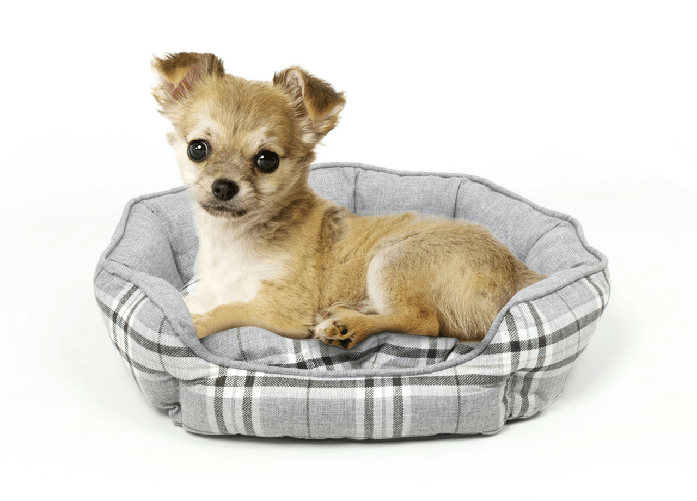 img-e906e78b-2eee-40e9-b43a-df253c6ef93c.png