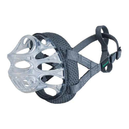 img-252fb47f-f259-40a5-88c0-af8f70e2106f.png