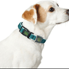 img-ee20d25a-05b0-4331-937d-bcc9b48d0888.png