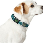 img-ee20d25a-05b0-4331-937d-bcc9b48d0888.png