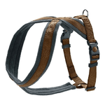 img-6fcc9bfc-f591-43d8-8756-e9ac0f5255a5.png