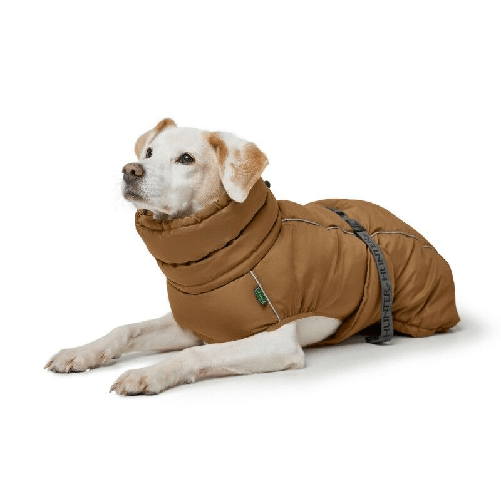 img-cf274931-6e48-4124-ab65-b4146aaed95a.png