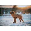 img-ef587d50-32b9-419d-b54f-a9d29b59600a.png