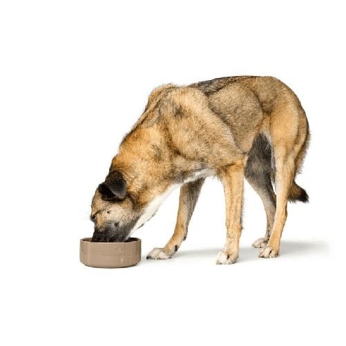 img-4b11b836-d23d-464e-9ada-6776e16ed8e7.png