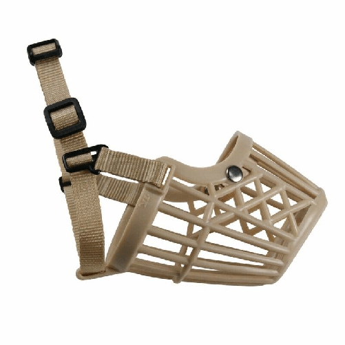 img-3a601358-e6dc-4a37-81ac-f87130fdc307.png