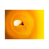 img-33cb669c-fe99-4ee8-9ca3-fc8650eecf2e.png