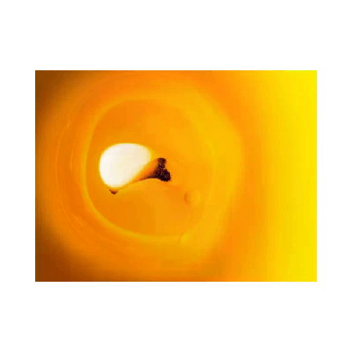 img-33cb669c-fe99-4ee8-9ca3-fc8650eecf2e.png