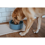 img-99ff1c2f-9443-42aa-8bd8-0e6153faabb2.png