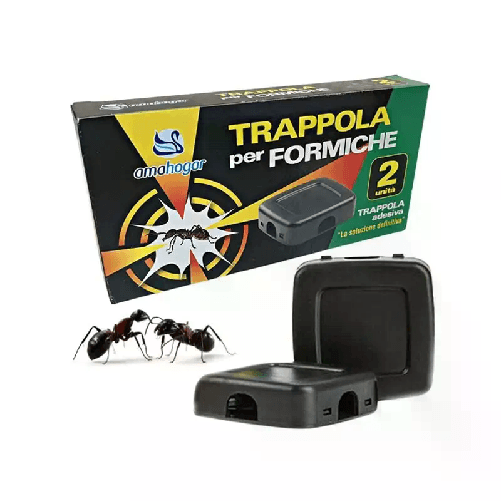 img-9255487e-5e4a-449d-9cb2-f3f435c301dc.png