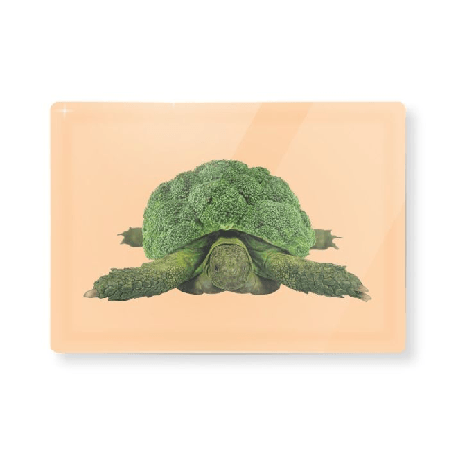 img-3bacdfd9-fbe3-4fb0-a6e1-4f8017d5d818.png