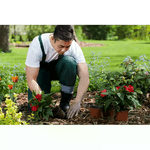 img-88f842e8-3d1c-4121-b6a0-c99b4a0588b6.png