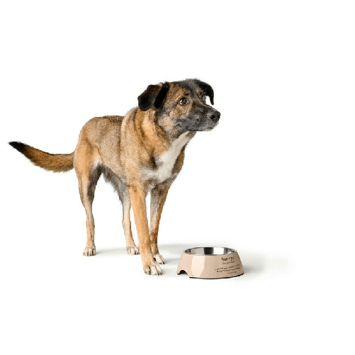 img-45b50998-b059-4077-b113-f56c2f346aa3.png