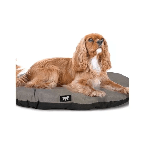 img-192dec1d-7058-4821-80a7-12baa7b90ce0.png