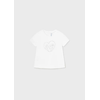 img-1e254771-38c4-4101-a7a0-c917ad9d8e0f.png