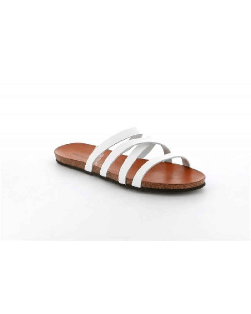 img-7cda07e2-6415-4039-9934-6f4debd0e88a.png