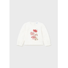 img-f57afb6c-d2d4-4bdd-a60c-a0e58a9fc274.png