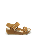 img-6786880c-6bb4-46f2-9558-39888f75dba2.png