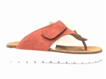 img-261a2b83-34a9-415f-8493-b3d3d5983894.png