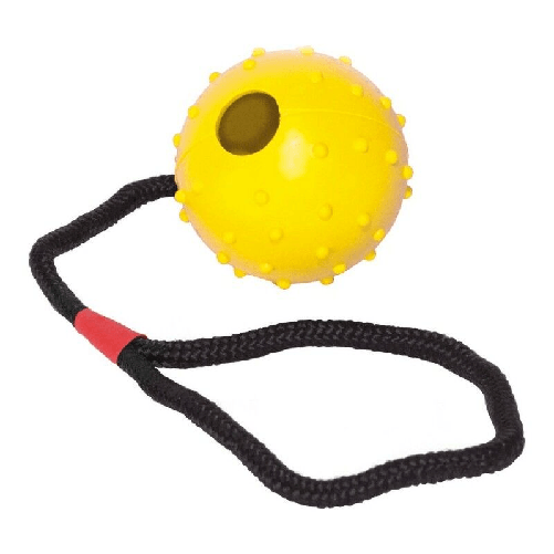 img-e40eb928-ae88-4583-a702-f172bb2d213e.png
