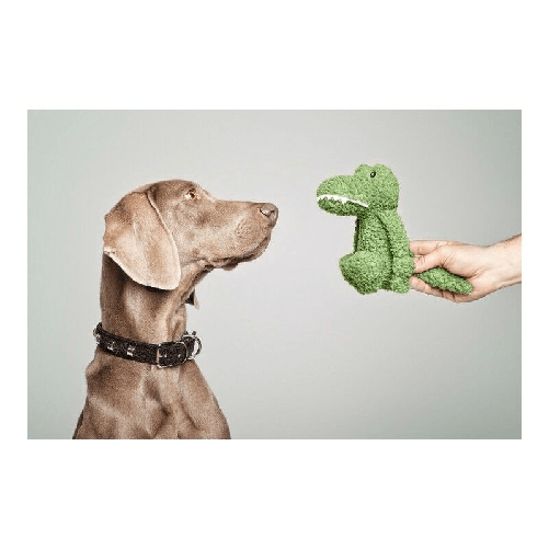 img-923bc6ac-a4ed-48d1-be38-4f87f409c0aa.png
