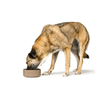 img-a5c81f9b-5f64-4cd9-847a-a98154457839.png