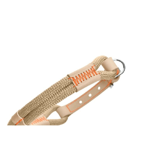 img-2f56f12d-2f35-4cc1-a3e2-fe292abc47ee.png