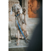 img-75ea07c5-3ae3-4f47-b364-a1bf603668bb.png