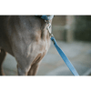 img-ec68060d-0b26-48d9-935a-78325233a465.png