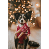 img-6247c93c-25c5-4fbd-8d6f-848c1a1362b5.png