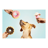 img-c88eb61e-3ebc-4613-847e-4436a11ee500.png
