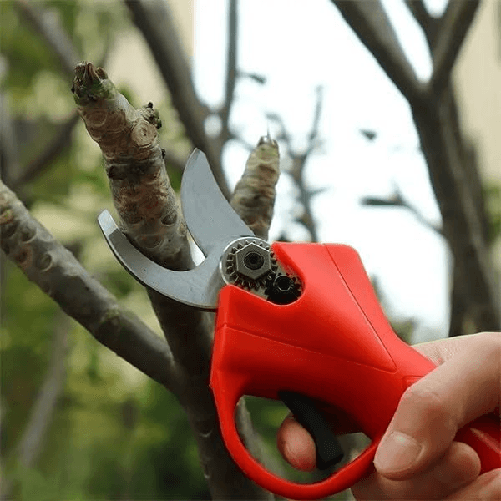img-4279f0fb-7774-4698-be58-02d67254505a.png