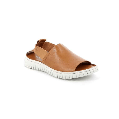 img-04f0e438-d88f-4943-be70-6f5fdf35f2ea.png