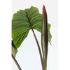 img-f47a9846-531a-4ed5-a5e4-ed0aa656cbe3.png