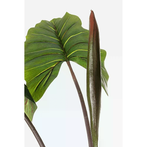 img-f47a9846-531a-4ed5-a5e4-ed0aa656cbe3.png