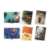 img-8d80e18d-af23-45c4-93b0-a9620aa42586.png